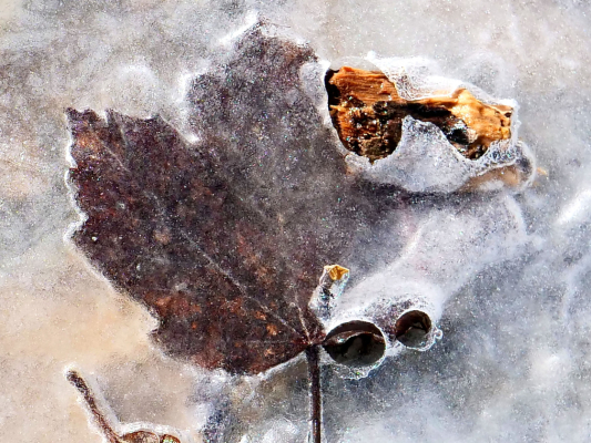 Tryptique hivernale 2